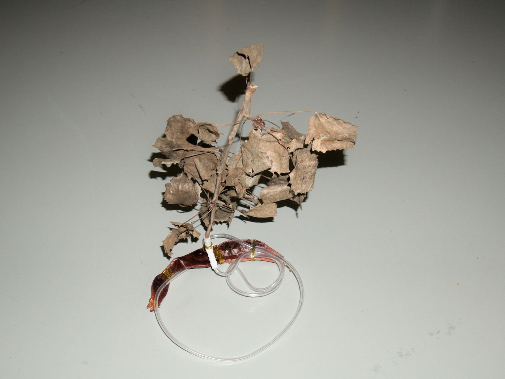Model produced by one of the accomplices during the laboratory in M HKA in Antwerp