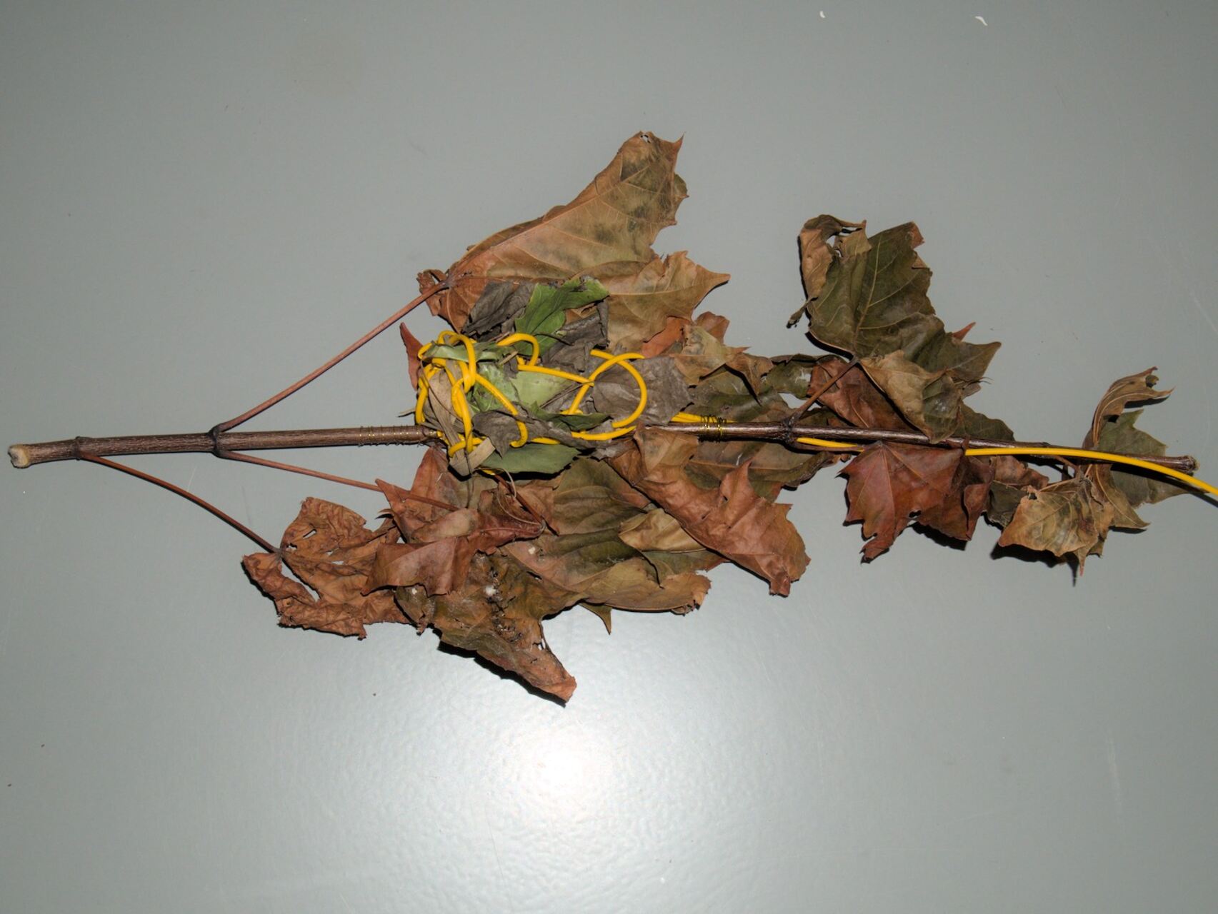 Model produced by one of the accomplices during the laboratory in M HKA in Antwerp