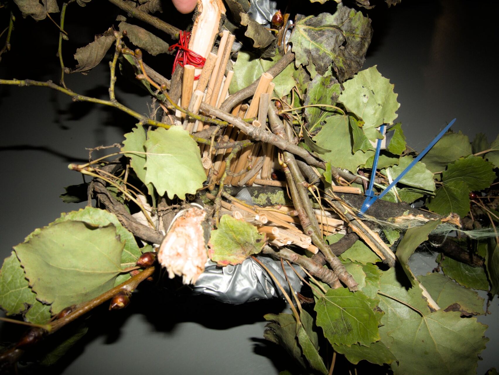 Model produced by one of the accomplices during the laboratory in M HKA in Antwerp