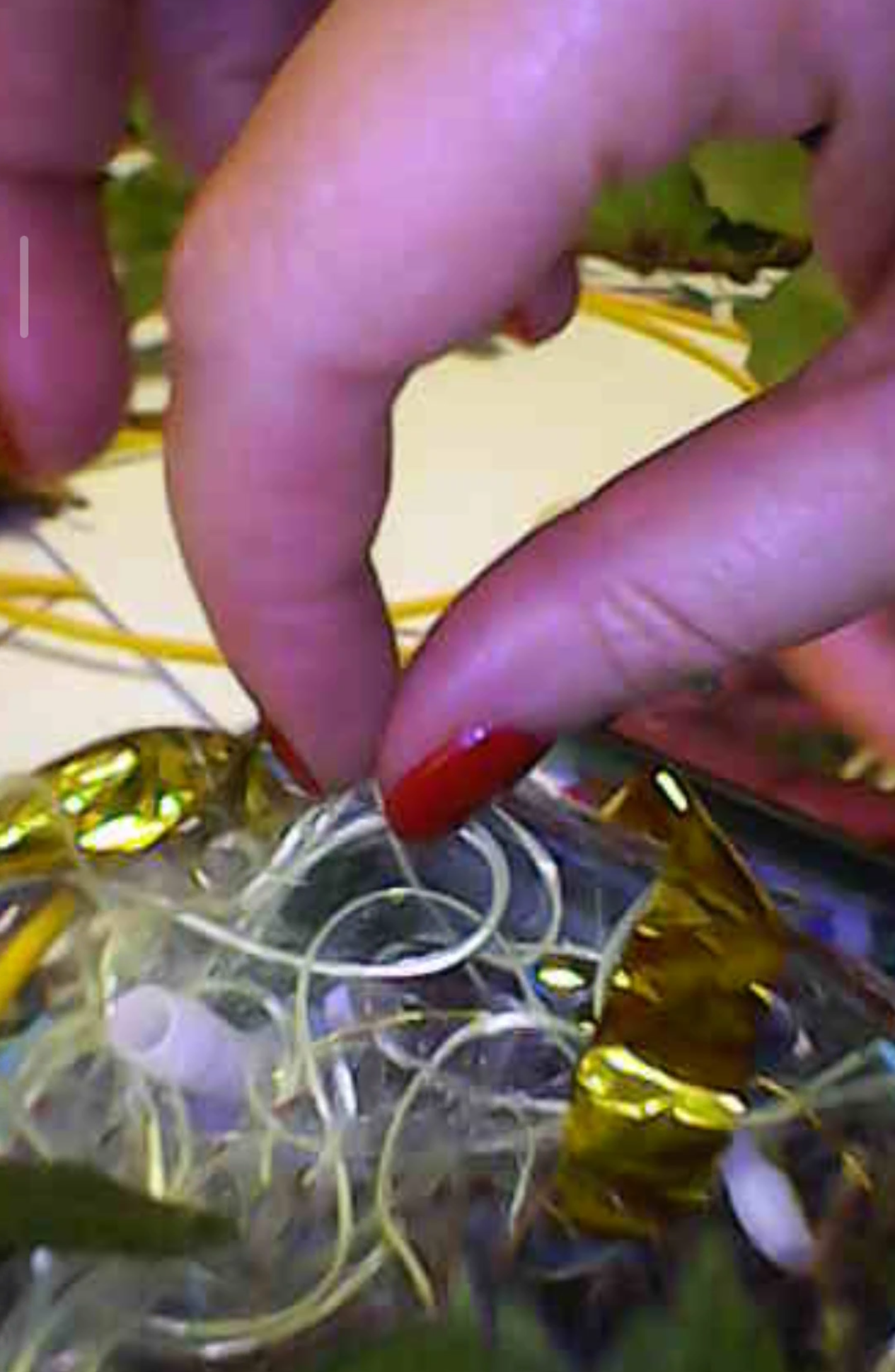 During the laboratory: