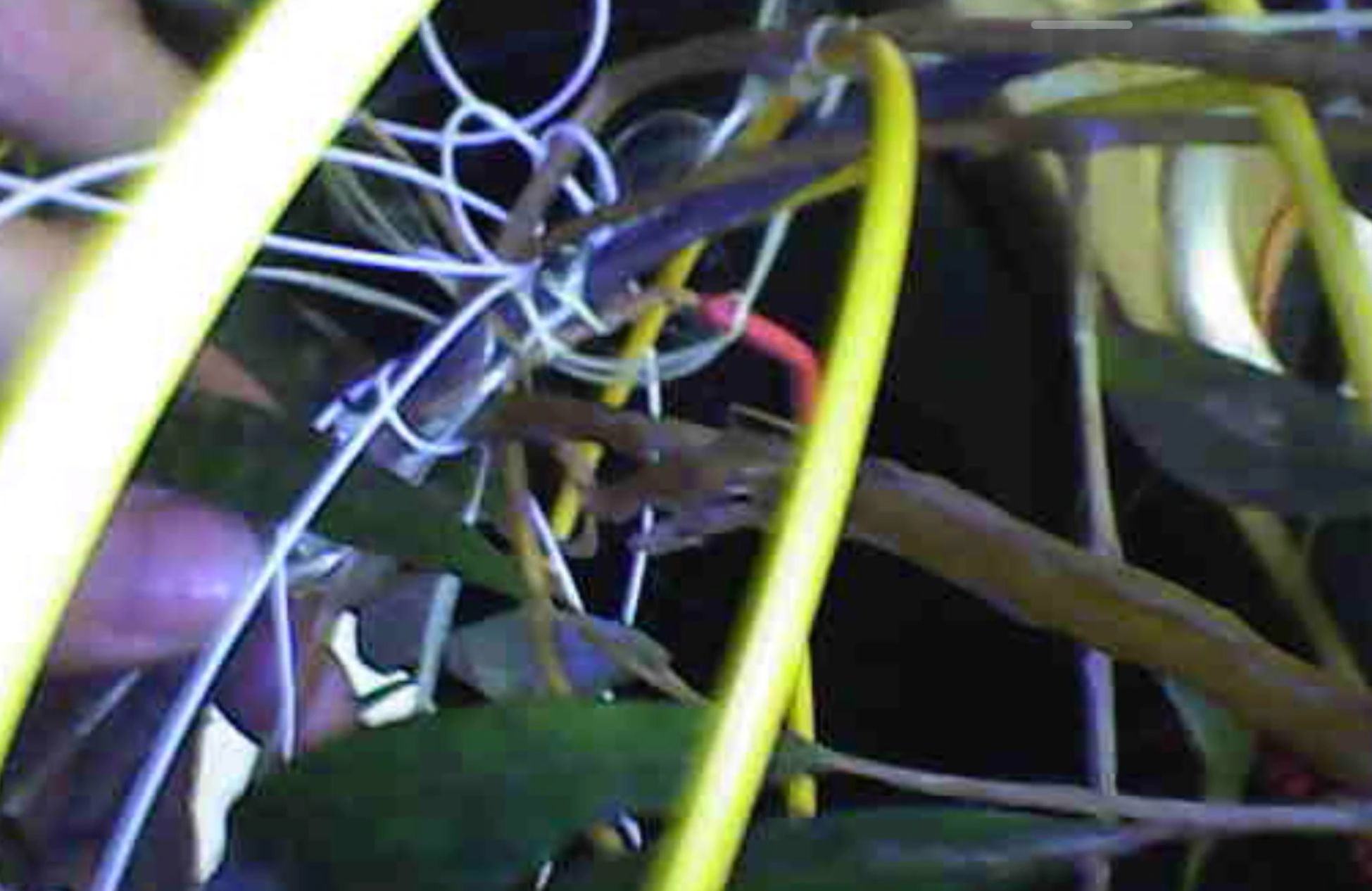 underwater and land network connections, leisure relaxation toys