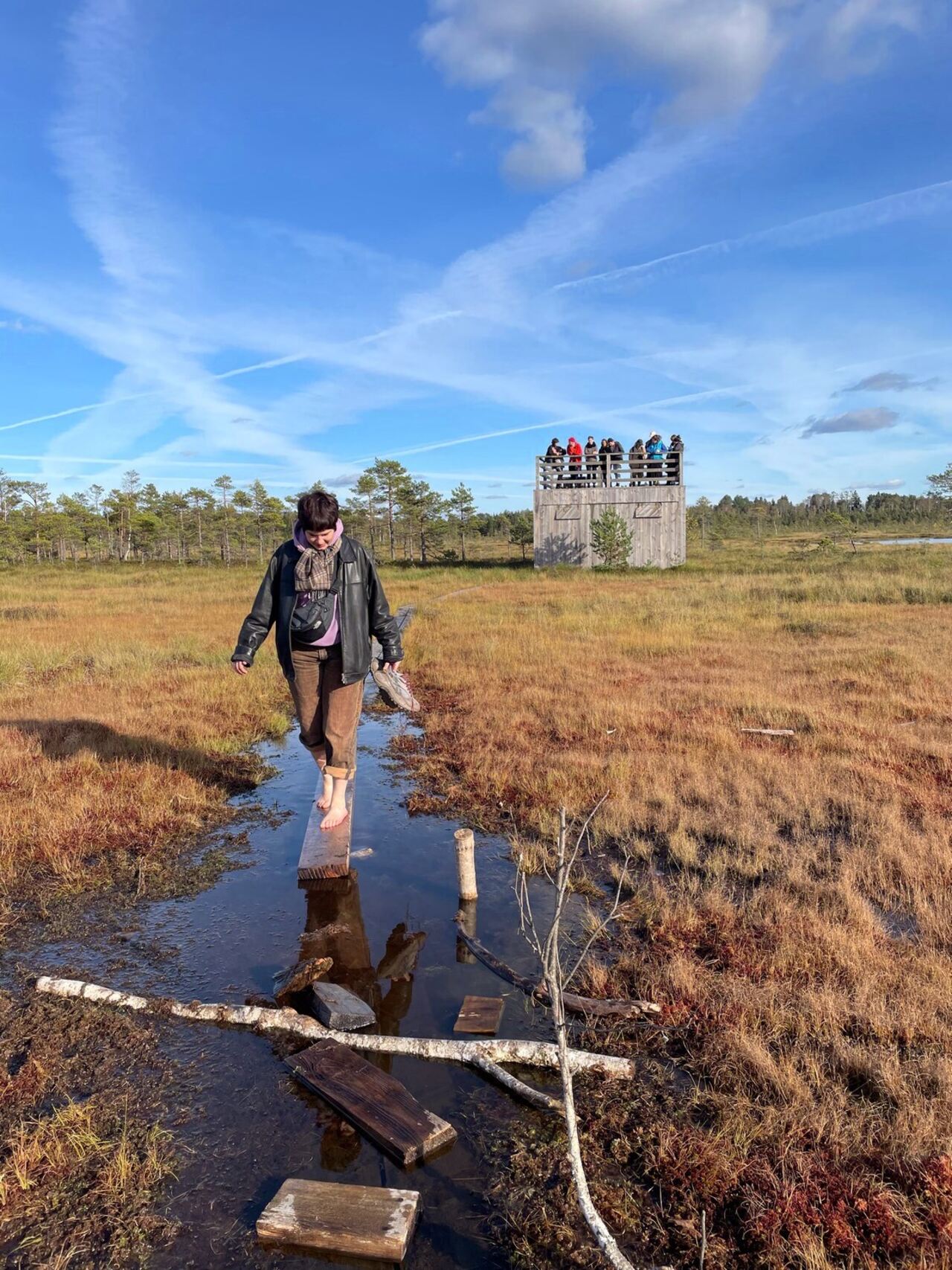 Dan Nulty and Lo Moran suggest sound-walk through the Nigula Bog