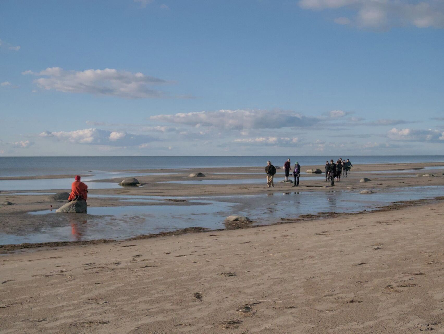 Fallow time on the sea side