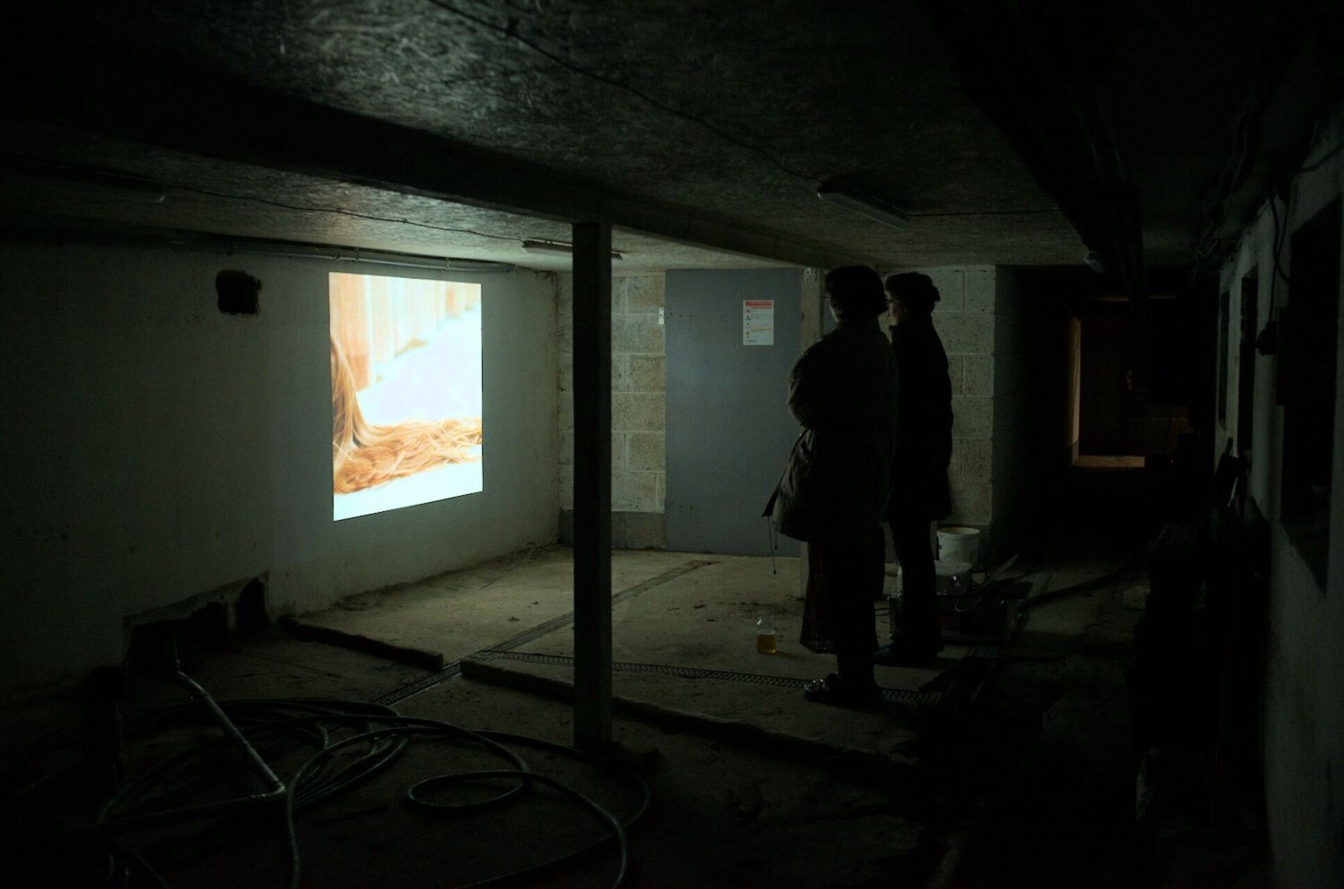 Ester Bergsmark suggests screening her film (Forest Assembly of Educational Fictions edit) in the basement, on bodies, gender, trans experiences, desire, violence, and trauma